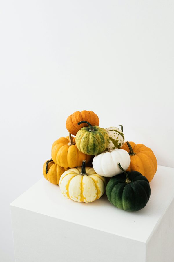 Goodies végétal : des idées de cadeaux durables et uniques