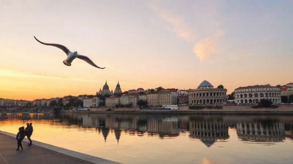 Top conseils pour un logo original à Lyon en 2026
